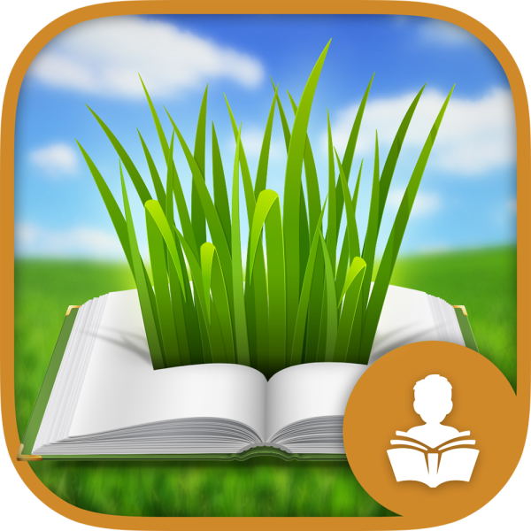 designpoint-branding-crack-the-books-blades-icon