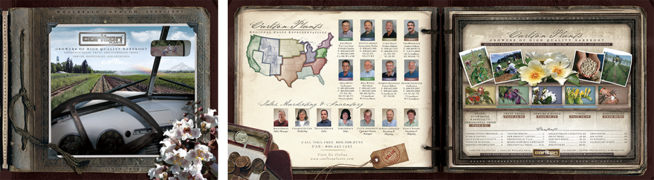 designpoint-brochures-carlton-plants-3