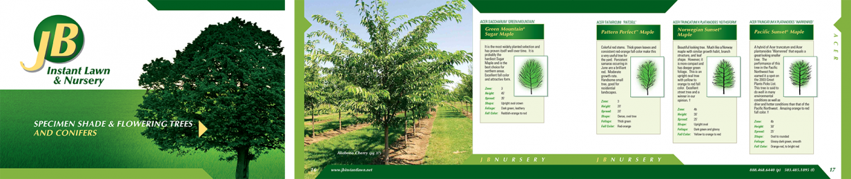 designpoint-brochures-jb-instant-lawn-seed-sod